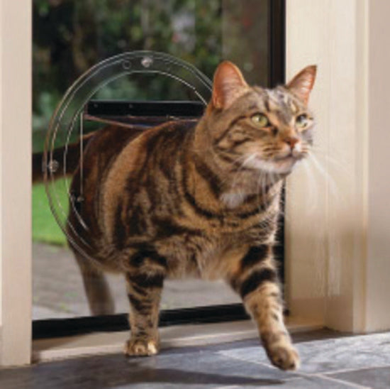 Transcat Clear Cat Door Small 4-Way Locking Door - 180mm Flap Width